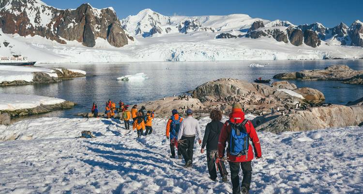 Géorgie du Sud et péninsule Antarctique : Safari aux pingouins - Intrepid Travel 3