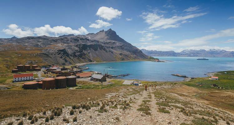 Géorgie du Sud et péninsule Antarctique : Safari aux pingouins - Intrepid Travel 9