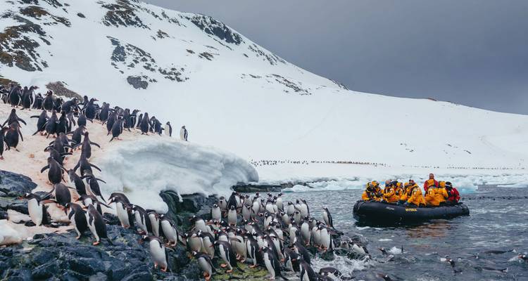 Antarctic Explorer: Discovering the 7th Continent - Intrepid Travel 3