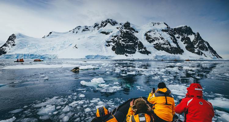 Antarctic Explorer: Discovering the 7th Continent - Intrepid Travel 10