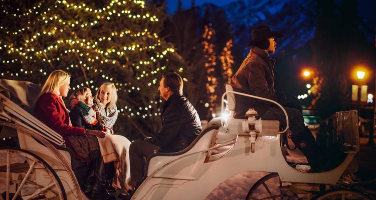 Yukon Northern Lights & Rockies Christmas Premium Tour - Discover Canada Tours 7