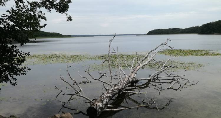 Distrito de los Lagos de Mecklemburgo | Recorrido guiado en e-bike - Terranova Touristik 2