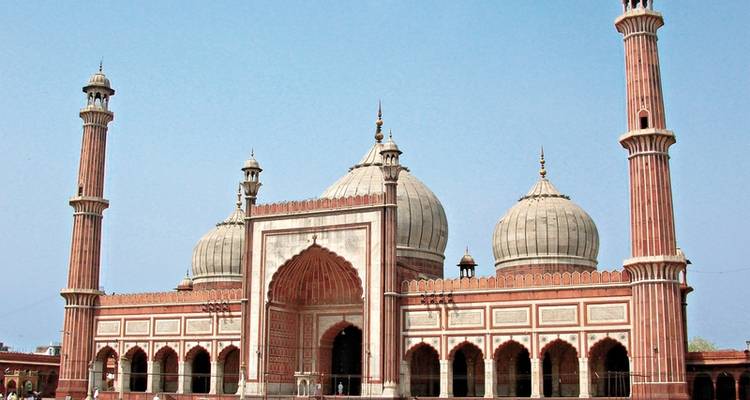 Jewel of Rajasthan - MEIERS WELTREISEN 10