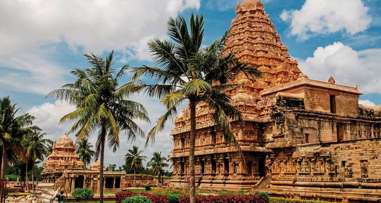 Ancient temple surrounded by palm trees.