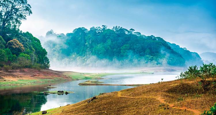 Paysage verdoyant avec une rivière et des collines brumeuses