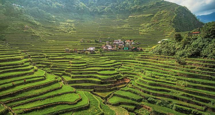 Rizières en terrasses avec un petit village au loin.