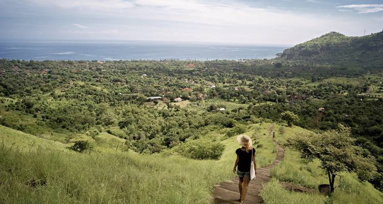 Person walking on a path through a lush green landscape with ocean view.