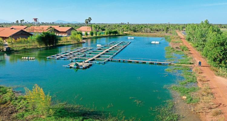 Aerial view of fish farm and rural landscape.