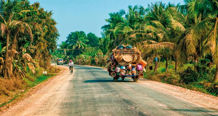 Road with tropical foliage and a cart.