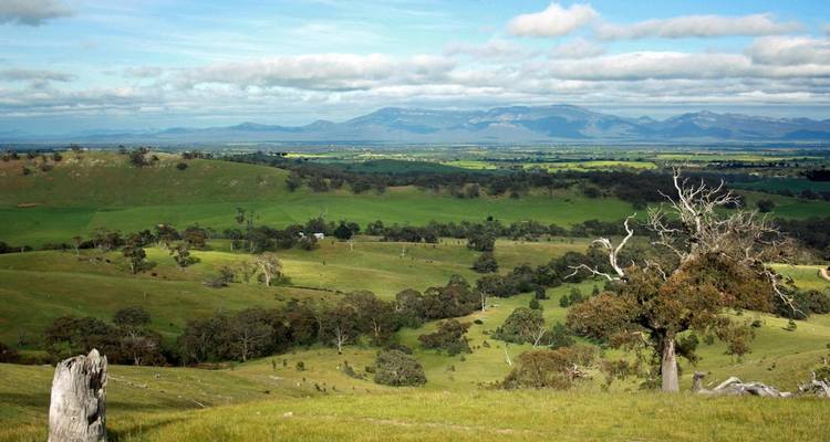 Australie du Sud : Melbourne, Adélaïde - 3 jours - Receptivo Aborigen Tours 4