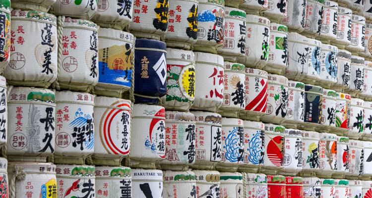 Aventura de 5 días en Tokio y el Monte Fuji - Tourist Journey 4