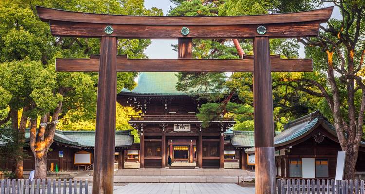 Aventura de 5 días en Tokio y el Monte Fuji - Tourist Journey 6