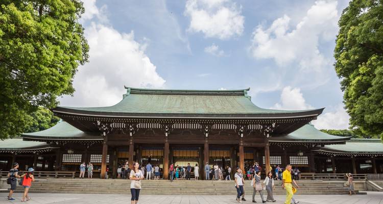 Aventura de 5 días en Tokio y el Monte Fuji - Tourist Journey 7