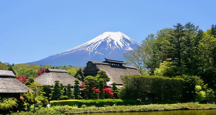 Aventura de 5 días en Tokio y el Monte Fuji - Tourist Journey 8