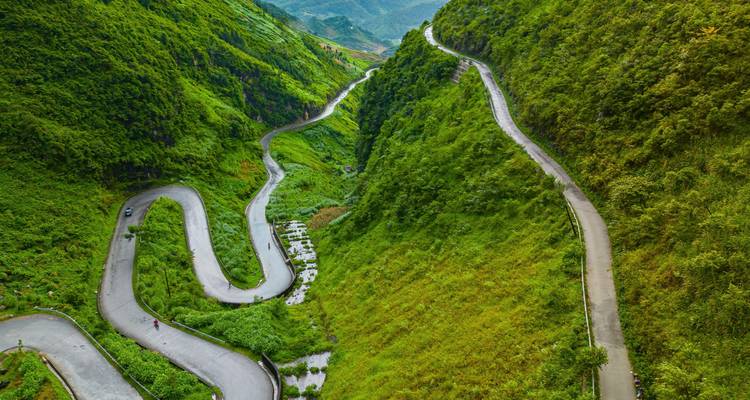 Camino serpenteante empinado rodeado de vegetación densa y exuberante.