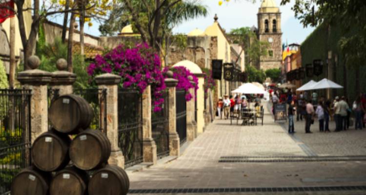 MEXIQUE : UXMAL, MÉRIDA, IZAMAL , CHICHÉN ITZÁ, CANCUN - 2 JOURS - Receptivo Aborigen Tours 10