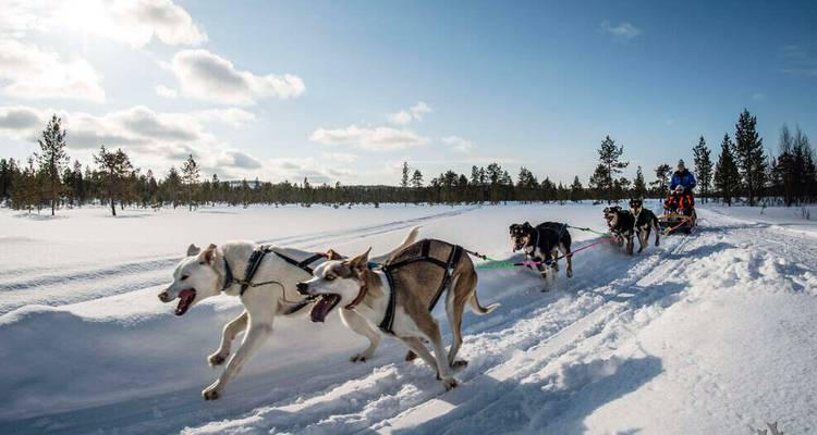 Aventure hivernale en Laponie finlandaise - Explore! 7