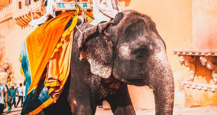 6 Nights 7 Days Luxury Golden Triangle Tour With Varanasi (5 Star Hotels) -  Taj Voyages Tours  3