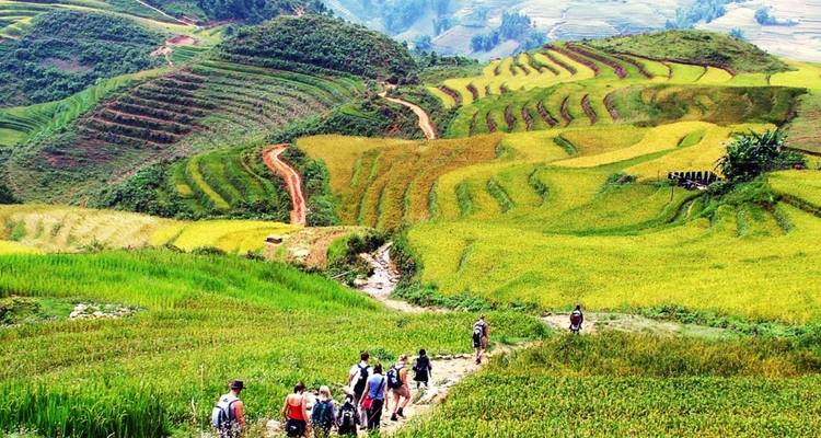 4 jours de trekking à Sapa (guide privé et chauffeur）) - UME Travel Co. Ltd 7
