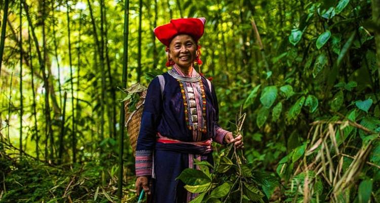 4 jours de trekking à Sapa (guide privé et chauffeur）) - UME Travel Co. Ltd 10