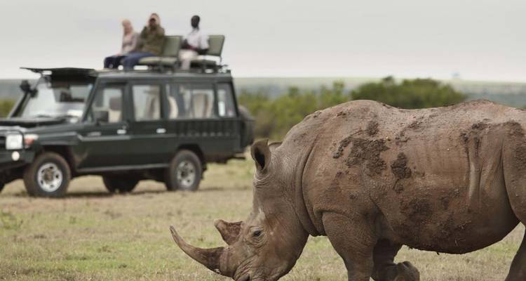 2 Días de Safari de Lujo en el Rancho Solio en Jeep 4x4 Land Cruiser - Gracepatt Ecotours Kenya 3