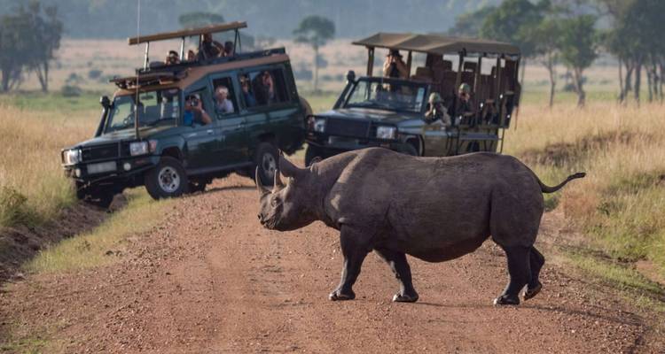 2 Días de Safari de Lujo en el Rancho Solio en Jeep 4x4 Land Cruiser - Gracepatt Ecotours Kenya 7