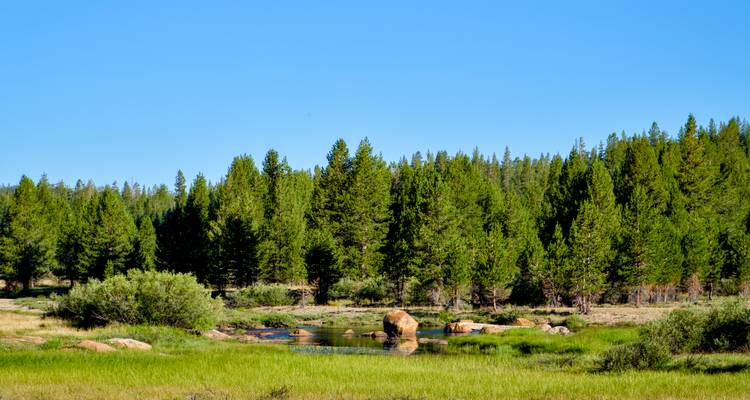 John Muir Trail : Du lac June à Tuolumne Meadows - Wildland Trekking 2