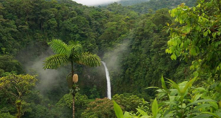 Real Costa Rica - Just You 9