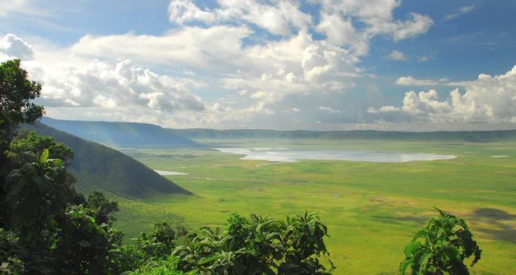 Safari Clásico de 5 días en Tanzania - Serengeti y Ngorongoro - Lights on Africa Destinations & Safaris 4