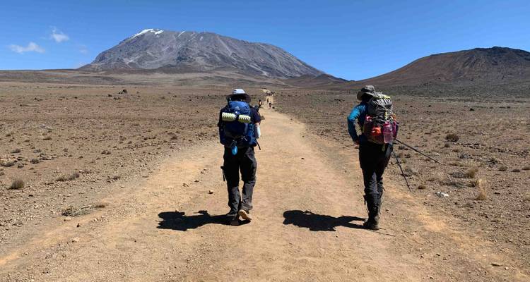 Climb Mt.Kilimanjaro Via Lemosho Route 8 Days - Authentic Africa 4