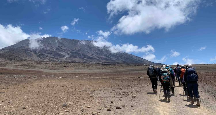 Climb Mt.Kilimanjaro Via Lemosho Route 8 Days - Authentic Africa 6