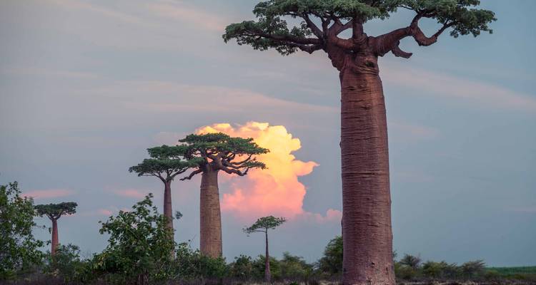 Magie à Madagascar - Mudita Adventures 9