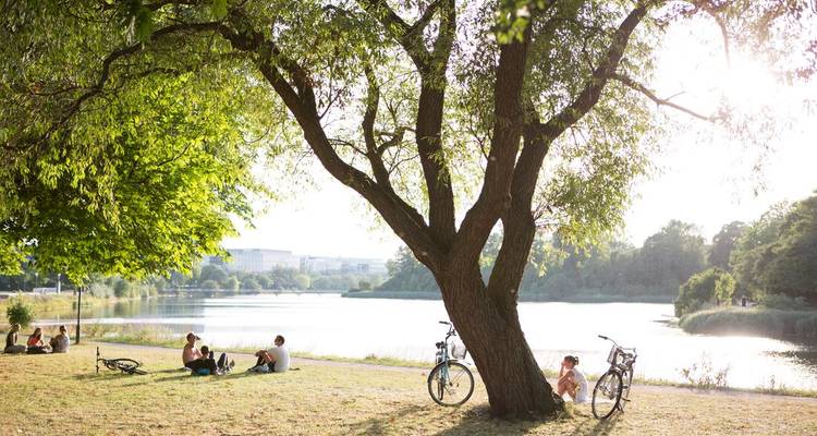 L'essentiel de la Scandinavie - Intrepid Travel 9