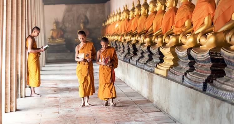 Exploración de Vietnam y Tailandia - Wingbuddy 7