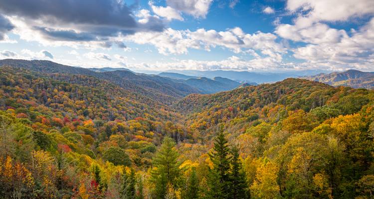 Womens Fall Colors in the Smokies Backpack - Wildland Trekking 1