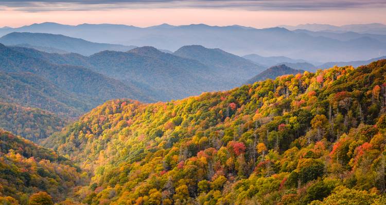 Womens Fall Colors in the Smokies Backpack - Wildland Trekking 2