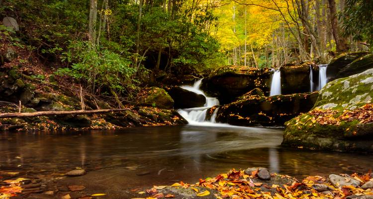 Womens Fall Colors in the Smokies Backpack - Wildland Trekking 3