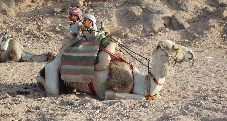6 días Hurghada con visita guiada a Luxor - STM Tours LLC 1