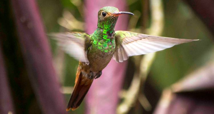 Ecuador al Descubierto:  Paisajes urbanos, aguas termales y maravillas de las Galápagos - Green Adventures 3