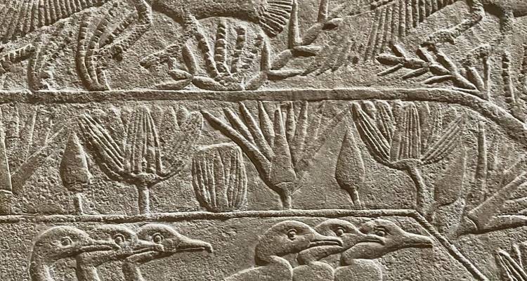 Sculptures sur pierre de l'Égypte antique représentant des oiseaux et des plantes.