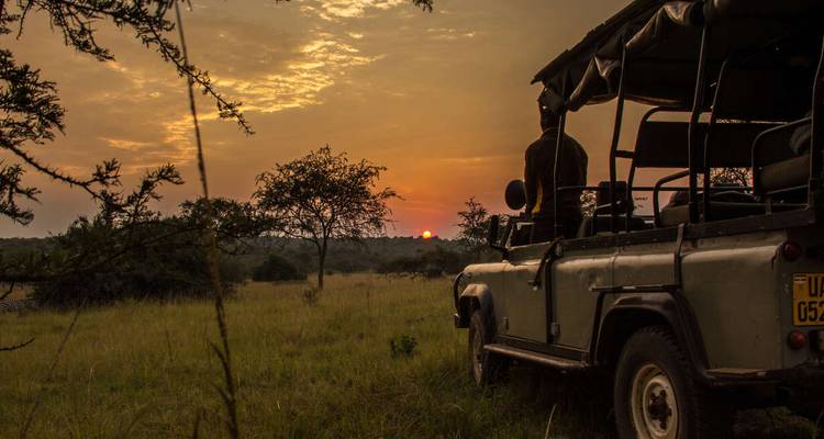 Uganda and Rwanda Gorilla Discovery - Explore! 1