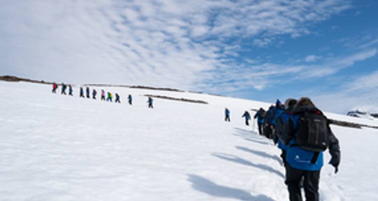 Spitsbergen, Greenland and Iceland Solar Eclipse Departure - M/V Greg Mortimer (Solar) - Explore! 4