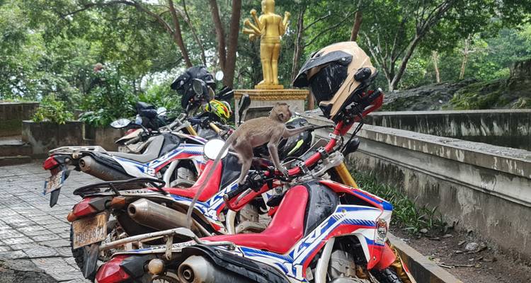 De Siem Reap a Phnom Penh Circuito en moto todoterreno a Koh Ker, Preah Vihear, Parque Nacional de Kirirom - VietLong Travel 8
