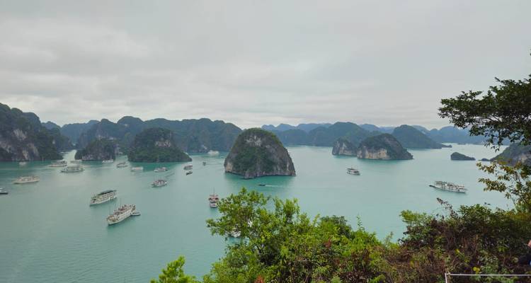 Northern and Central Vietnam Discovery from Hanoi to Danang via Sapa, Halong Bay, Ninh Binh - VietLong Travel 10