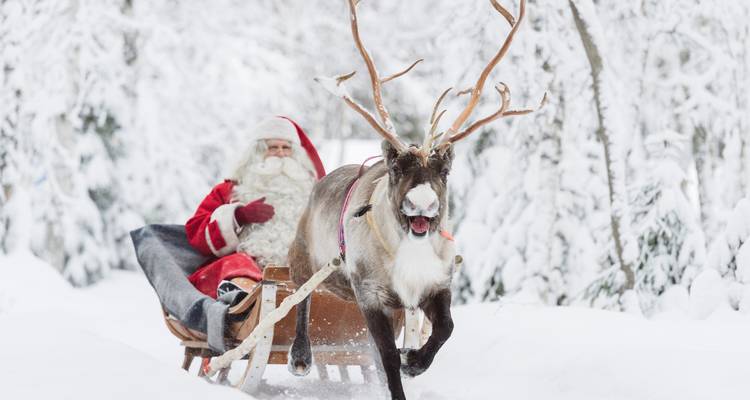 Experiencia Invernal Completa en Iglú - 6 Días en Laponia - Nordic Unique Travels 3