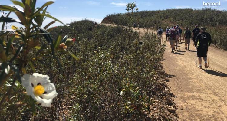 Tavira: The Amazing East Algarve - Be Cool 4