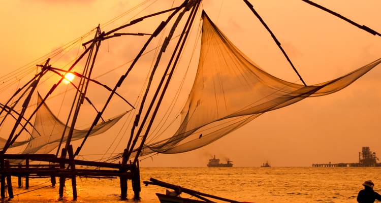 Norte y Sur de la India - Learning Journeys  4