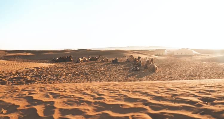 Circuit de 5 jours de Fès à Marrakech - Fez Cultural Tours 2