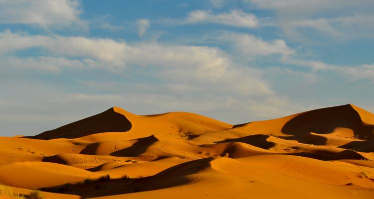 Goldene Sanddünen unter einem blauen Himmel.