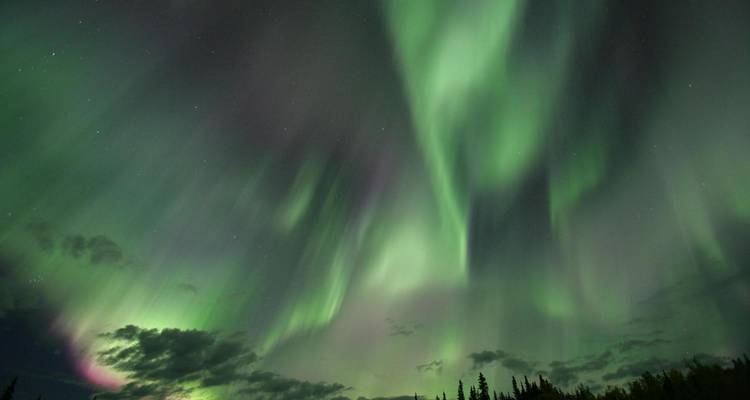 Aurora, sauna y fuentes termales: Moderna estancia en cabaña en Whitehorse desde Calgary - Landsby 9